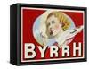 Byrrh Advertising Poster-null-Framed Stretched Canvas