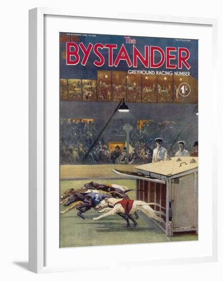 Bystander Greyhound Racing Number-null-Framed Art Print