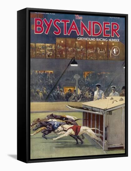 Bystander Greyhound Racing Number-null-Framed Stretched Canvas