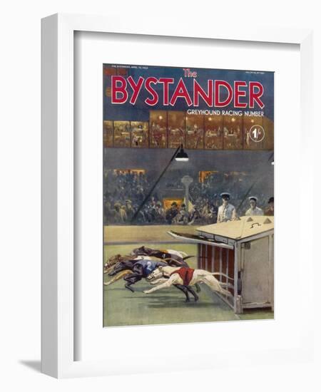 Bystander Greyhound Racing Number-null-Framed Art Print