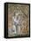 Byzantine Art, Noah Drinking Wine Mosaic, Baptistery of St. Mark's Basilica, Venice, Italy-Prisma-Framed Stretched Canvas