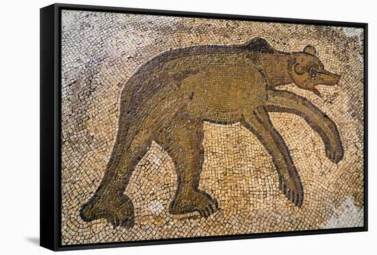 Byzantine bear mosaic, the Theater, Roman ruins of Bulla Regia, Tunisia-Nico Tondini-Framed Stretched Canvas