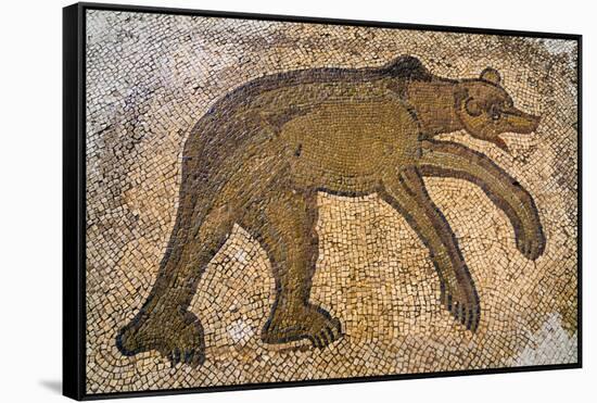 Byzantine bear mosaic, the Theater, Roman ruins of Bulla Regia, Tunisia-Nico Tondini-Framed Stretched Canvas