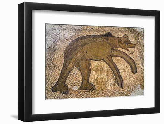 Byzantine bear mosaic, the Theater, Roman ruins of Bulla Regia, Tunisia-Nico Tondini-Framed Photographic Print