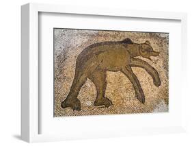 Byzantine bear mosaic, the Theater, Roman ruins of Bulla Regia, Tunisia-Nico Tondini-Framed Photographic Print