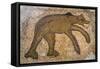 Byzantine bear mosaic, the Theater, Roman ruins of Bulla Regia, Tunisia-Nico Tondini-Framed Stretched Canvas