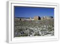 White Frame