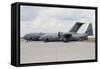 C-130J Super Hercules with a C-17 Globemaster-null-Framed Stretched Canvas