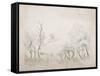 C.1916-Daniel Oliver-Framed Stretched Canvas