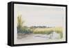 C.1916-Daniel Oliver-Framed Stretched Canvas