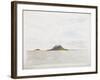 C.1916-Daniel Oliver-Framed Giclee Print