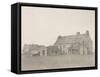 C.1916-Daniel Oliver-Framed Stretched Canvas