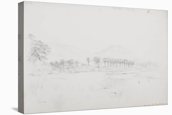 C.1916-Daniel Oliver-Stretched Canvas