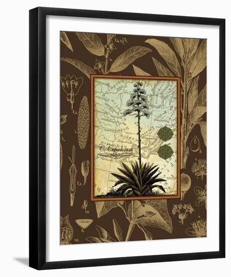 C. Capsolorum-Karl Rattner-Framed Art Print