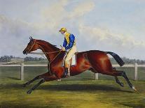 English Racehorses-C. Duncan-Stretched Canvas