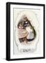 Black Frame