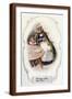 Brown Frame