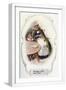 White Frame