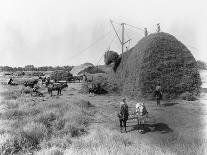 Alfalfa Haystack-C.E. Watkins-Photographic Print