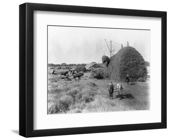 Premium Photographic Print, , large