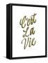 C'est La Vie Gold Lettering-Ashley Santoro-Framed Stretched Canvas