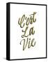 C'est La Vie Gold Lettering-Ashley Santoro-Framed Stretched Canvas