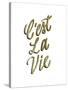 C'est La Vie Gold Lettering-Ashley Santoro-Stretched Canvas