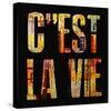 C'est la Vie-Irena Orlov-Stretched Canvas