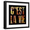 C'est la Vie-Irena Orlov-Framed Art Print