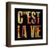 C'est la Vie-Irena Orlov-Framed Art Print