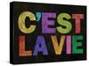 C'est La Vie-null-Stretched Canvas