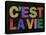 C'est La Vie-null-Stretched Canvas