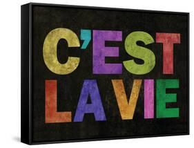 C'est La Vie-null-Framed Stretched Canvas