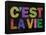 C'est La Vie-null-Framed Stretched Canvas