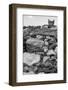 C’est Moi!-Jon Bertelli-Framed Photographic Print