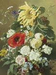A Rich Still Life with Sunflower and Roses-C.f. Hurten-Giclee Print