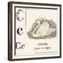 C for Swan, 1850 (Engraving)-Louis Simon (1810-1870) Lassalle-Framed Giclee Print