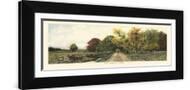 Brown Frame