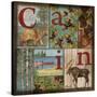 C is for Cabin-Paul Brent-Stretched Canvas