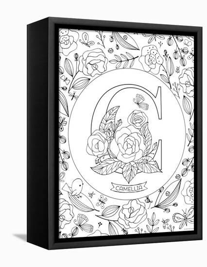 C is for Camellia-Heather Rosas-Framed Stretched Canvas