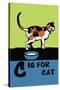 C is for Cat-Charles Buckles Falls-Stretched Canvas