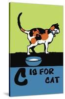 C is for Cat-Charles Buckles Falls-Stretched Canvas