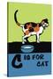 C is for Cat-Charles Buckles Falls-Stretched Canvas