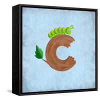 C Is For Caterpillar-Marcus Prime-Framed Stretched Canvas