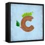 C Is For Caterpillar-Marcus Prime-Framed Stretched Canvas