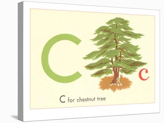 C is for Chestnut Tree-null-Stretched Canvas