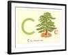 C is for Chestnut Tree-null-Framed Art Print