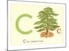 C is for Chestnut Tree-null-Mounted Art Print