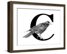 C is for Crow-Stacy Hsu-Framed Art Print