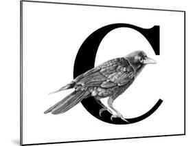 C is for Crow-Stacy Hsu-Mounted Art Print